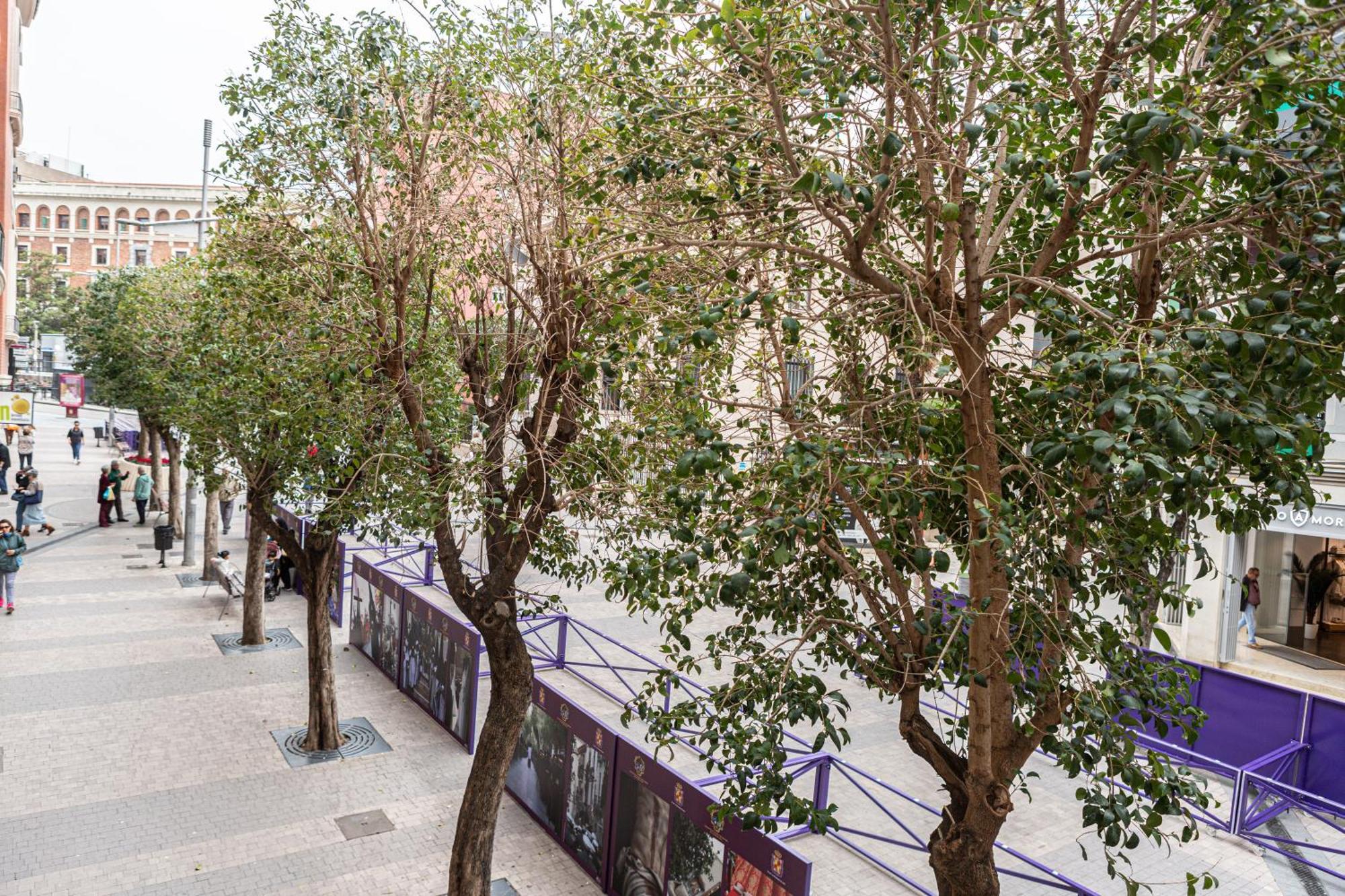Jaén Royar Apartamentos מראה חיצוני תמונה